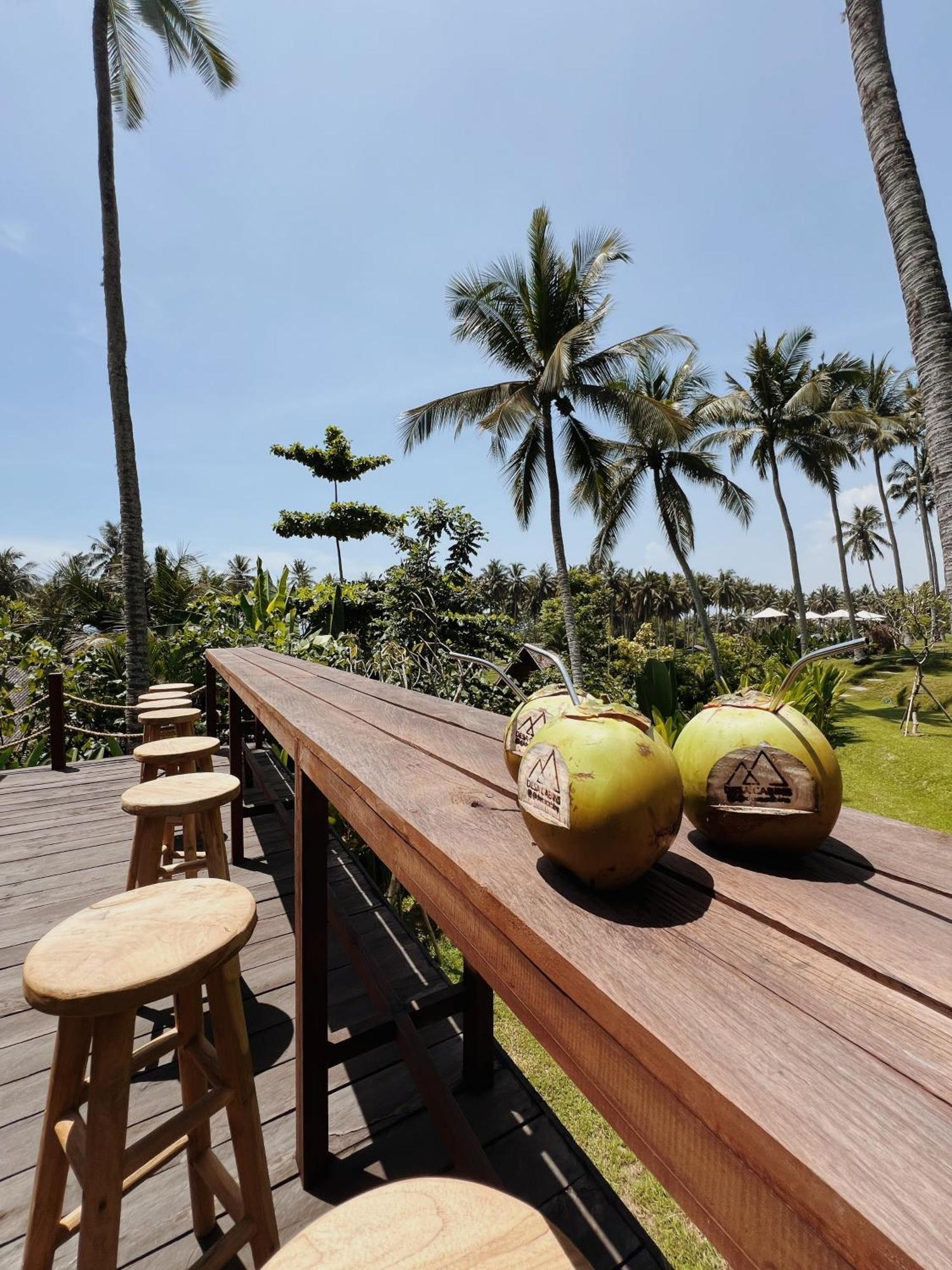 Desa Cabins Balian Экстерьер фото