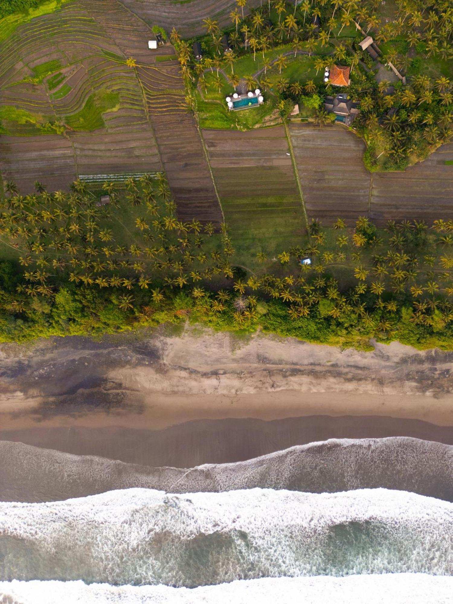 Desa Cabins Balian Экстерьер фото