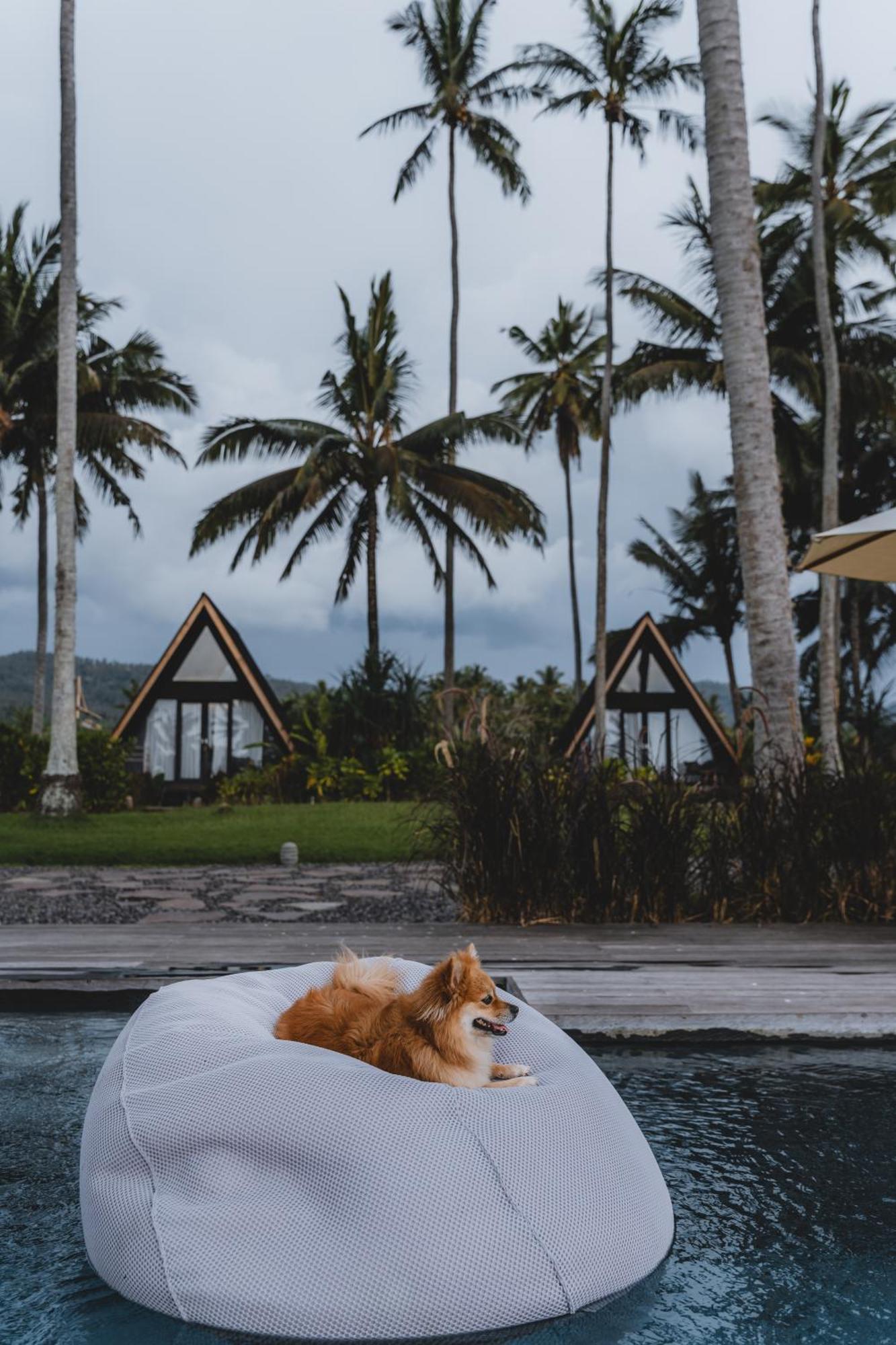 Desa Cabins Balian Экстерьер фото